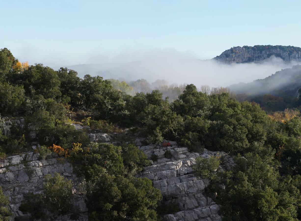 Les Hauts D'Issensac Causse-de-la-Selle エクステリア 写真