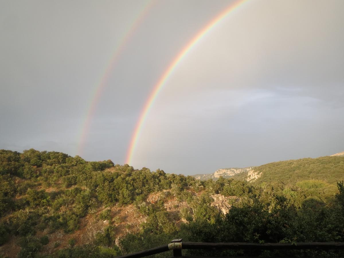 Les Hauts D'Issensac Causse-de-la-Selle エクステリア 写真