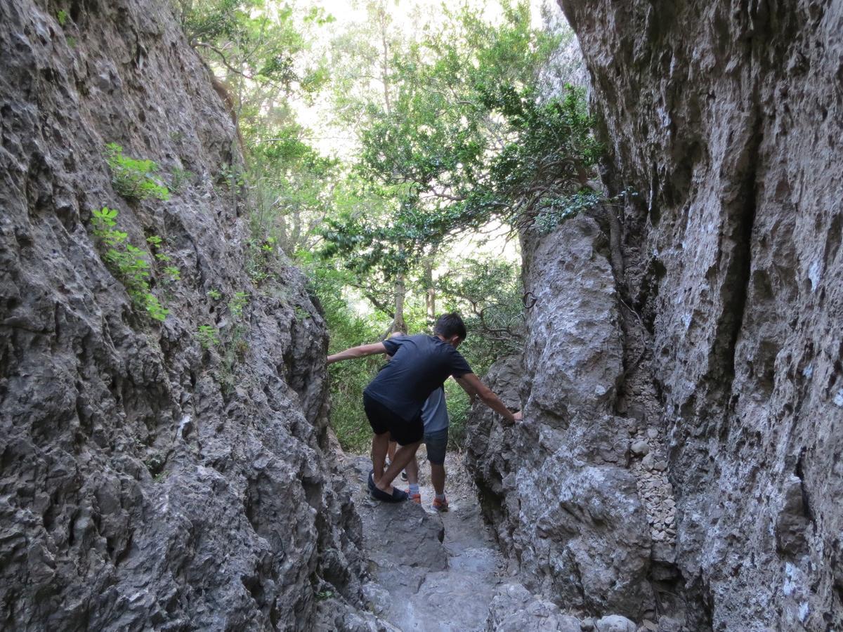 Les Hauts D'Issensac Causse-de-la-Selle エクステリア 写真