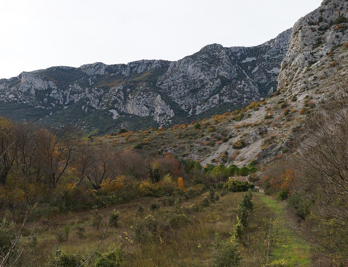 Les Hauts D'Issensac Causse-de-la-Selle エクステリア 写真